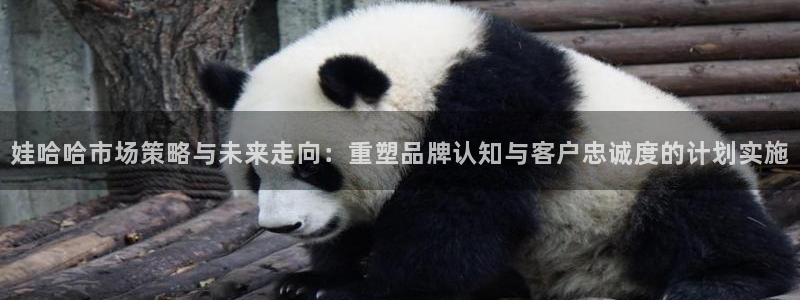 必赢国际怎么样