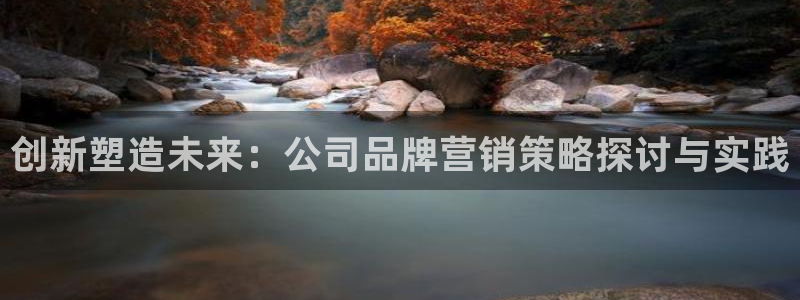 必赢7231
