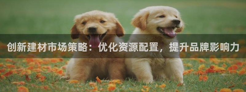 必赢437官网