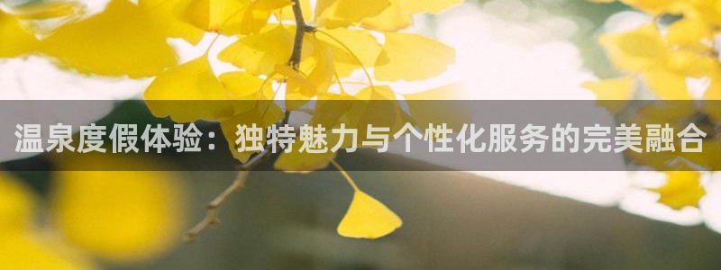 必赢宝app软件下载