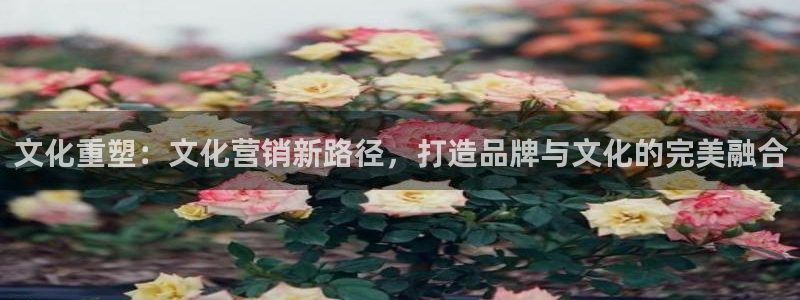 必赢官网下载安装