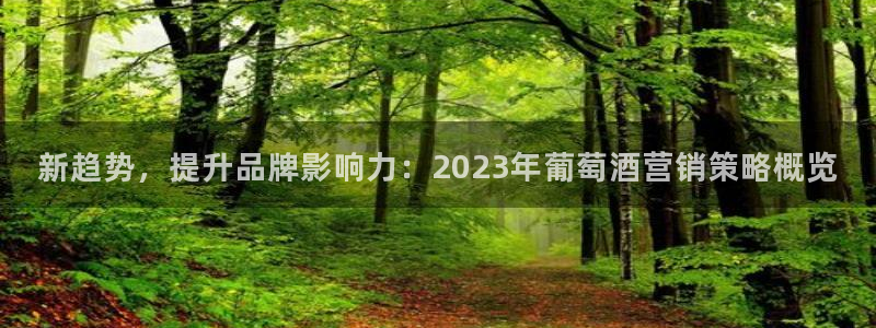 必赢官网网站