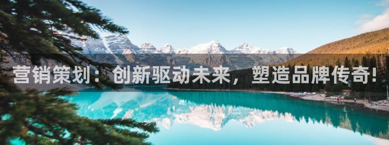 必赢官网下载app