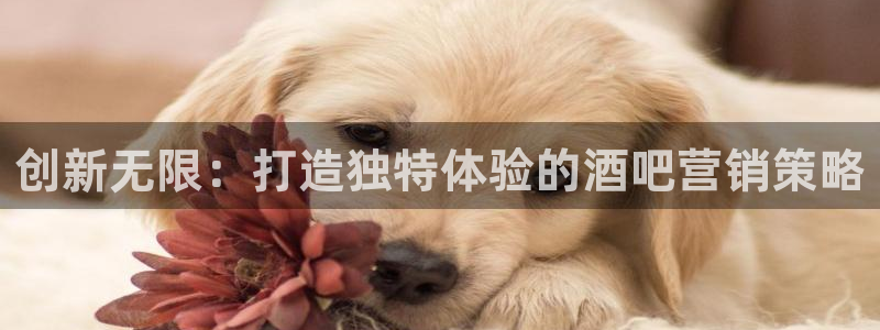 必赢平台网：创新无限：打造独特