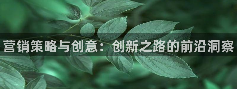 必赢app客户端下载：营销策略