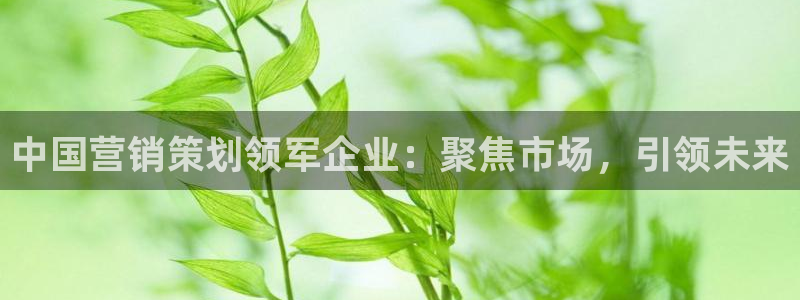 必赢手机app下载最新版本安装